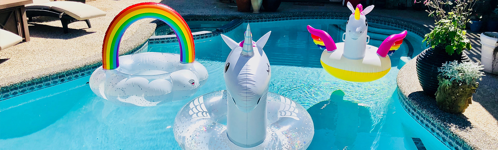 Paradis éléctrique photo 7