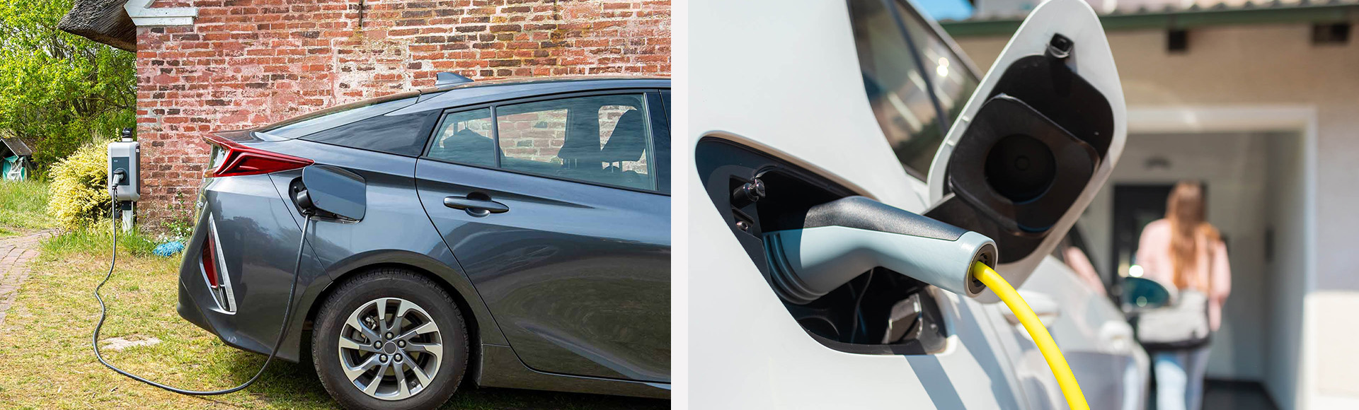 Paradis éléctrique photo 6